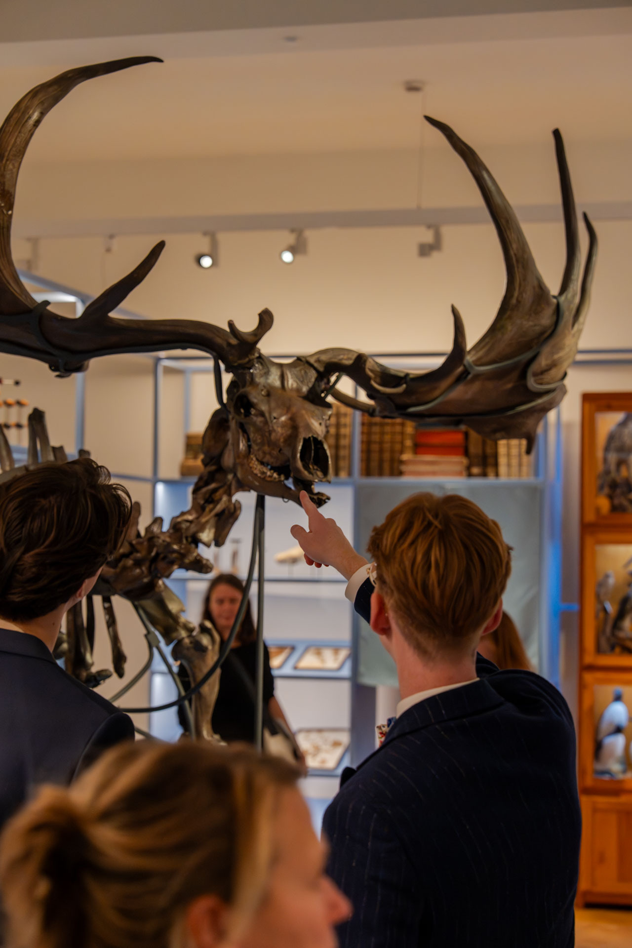 museum dierkunde MLKULpt1_EliasD_LR_31.jpg