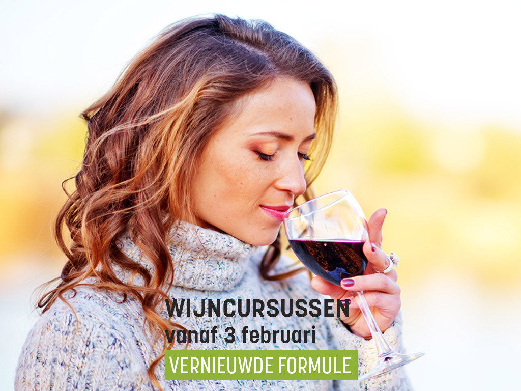 Wijncursussen