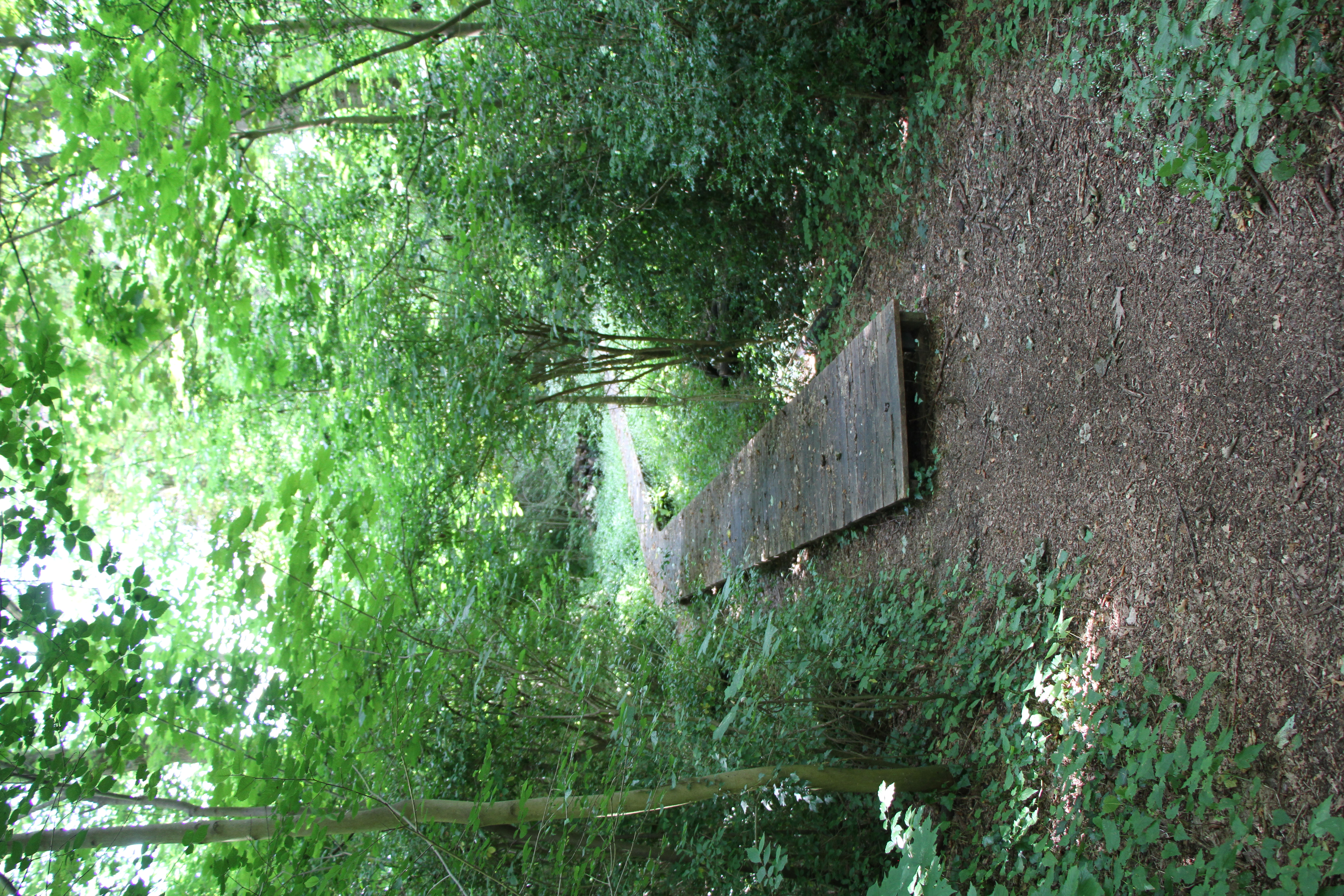 Door de Kwadebeekvallei