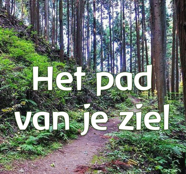 Workshop het pad van je ziel