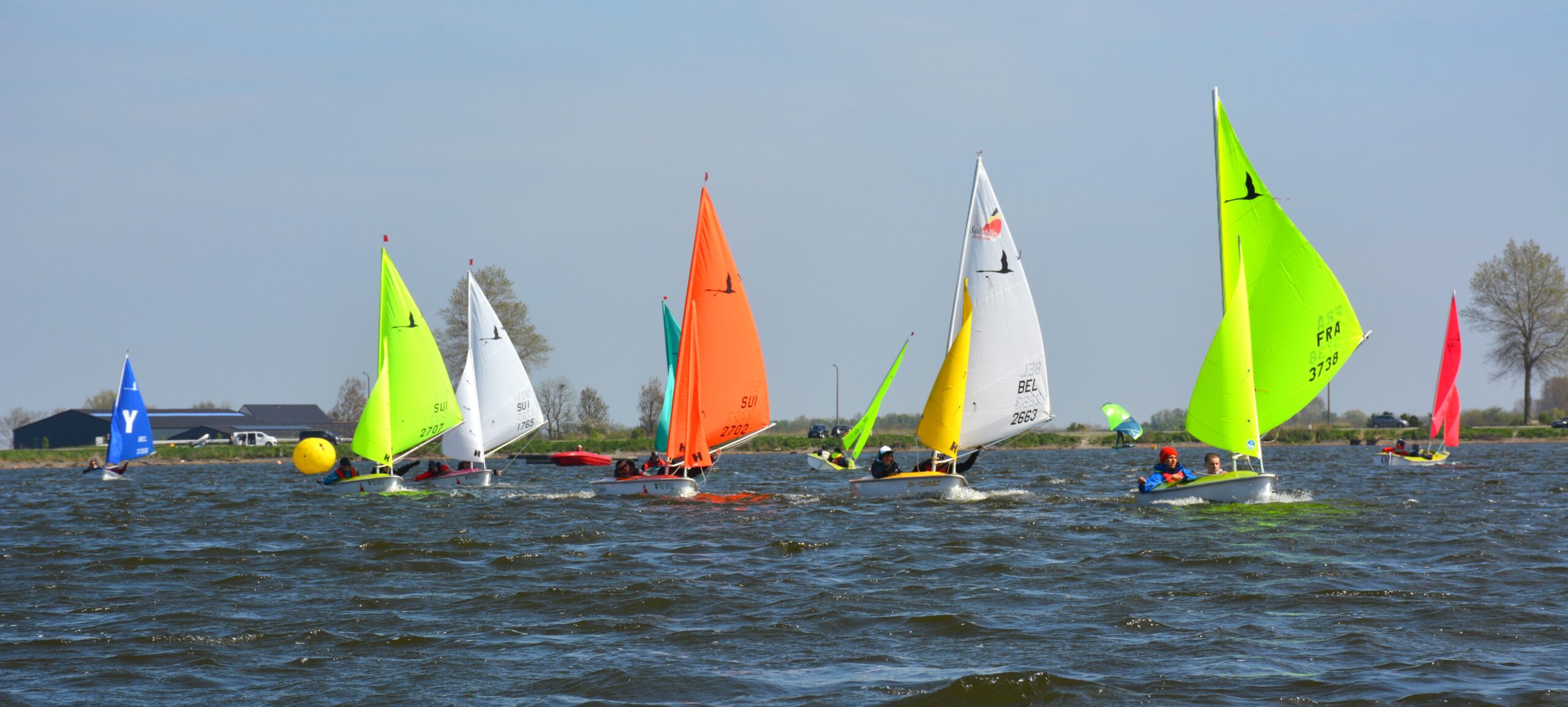 Sailability boten op het Spaarbekken