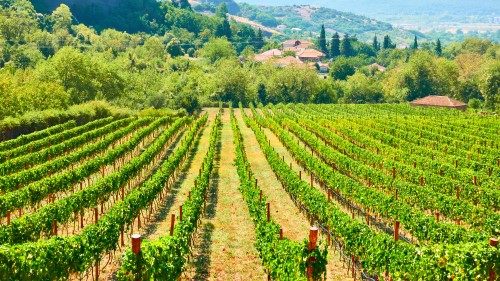 Gemeentebestuur Wingene