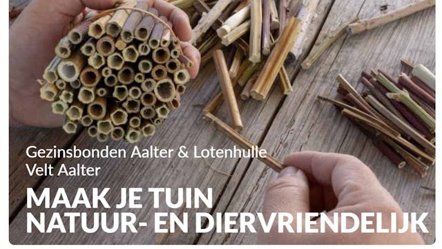 Image for gzbd activity