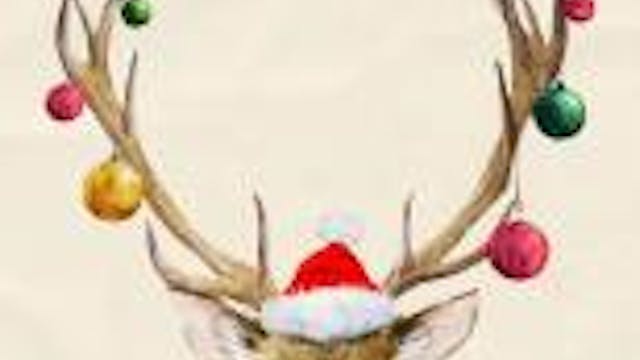 GEMEENTEBESTUUR KNOKKE-HEIST