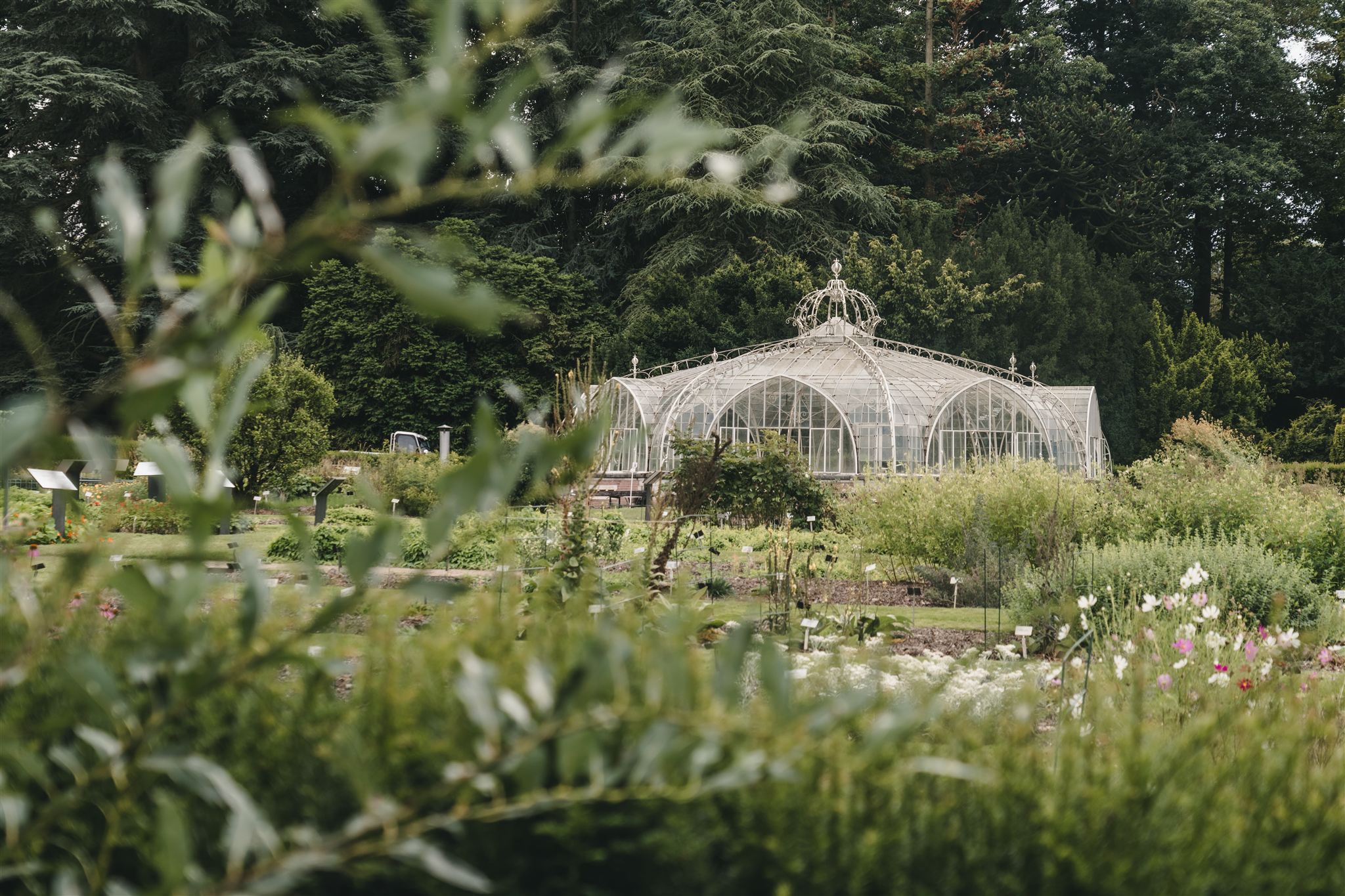 Balat kas in Plantentuin Meise
