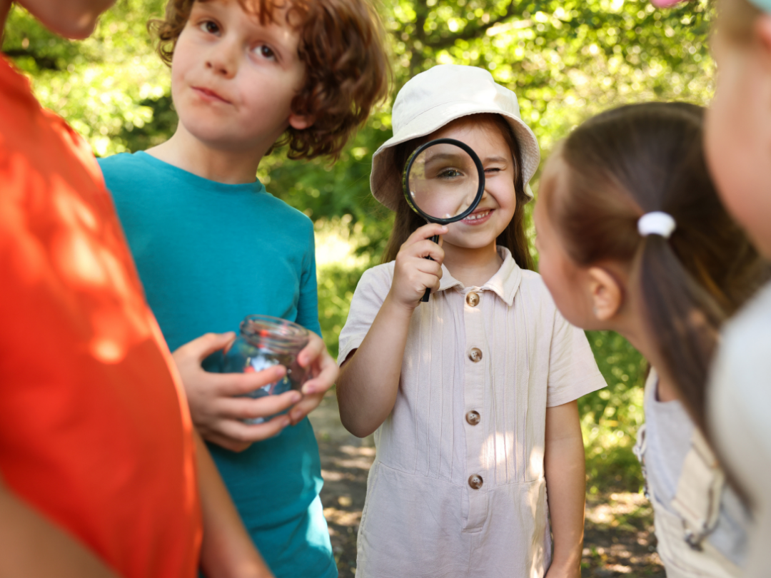 Moestuin avontuur & avondmagie