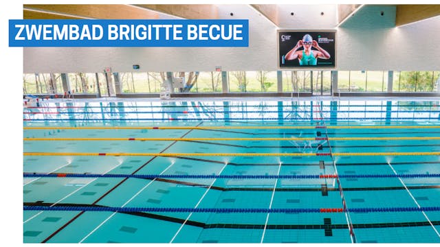 Zwembad Brigitte Becue