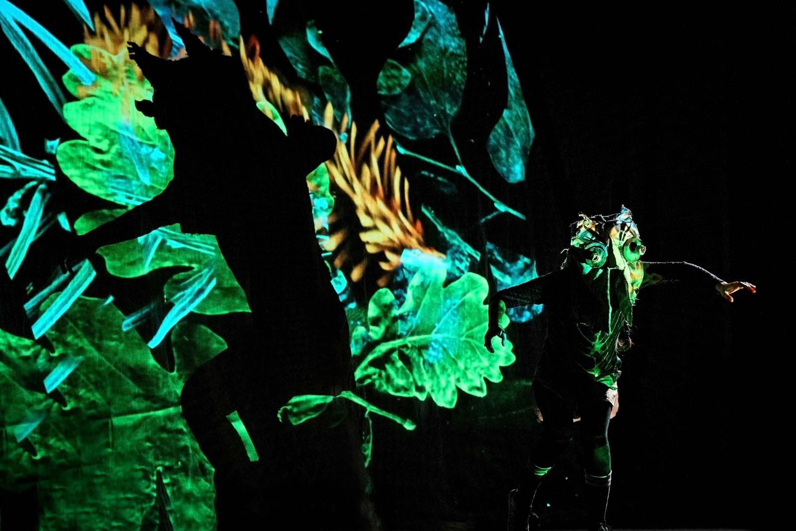 De zaak van de Zeehond