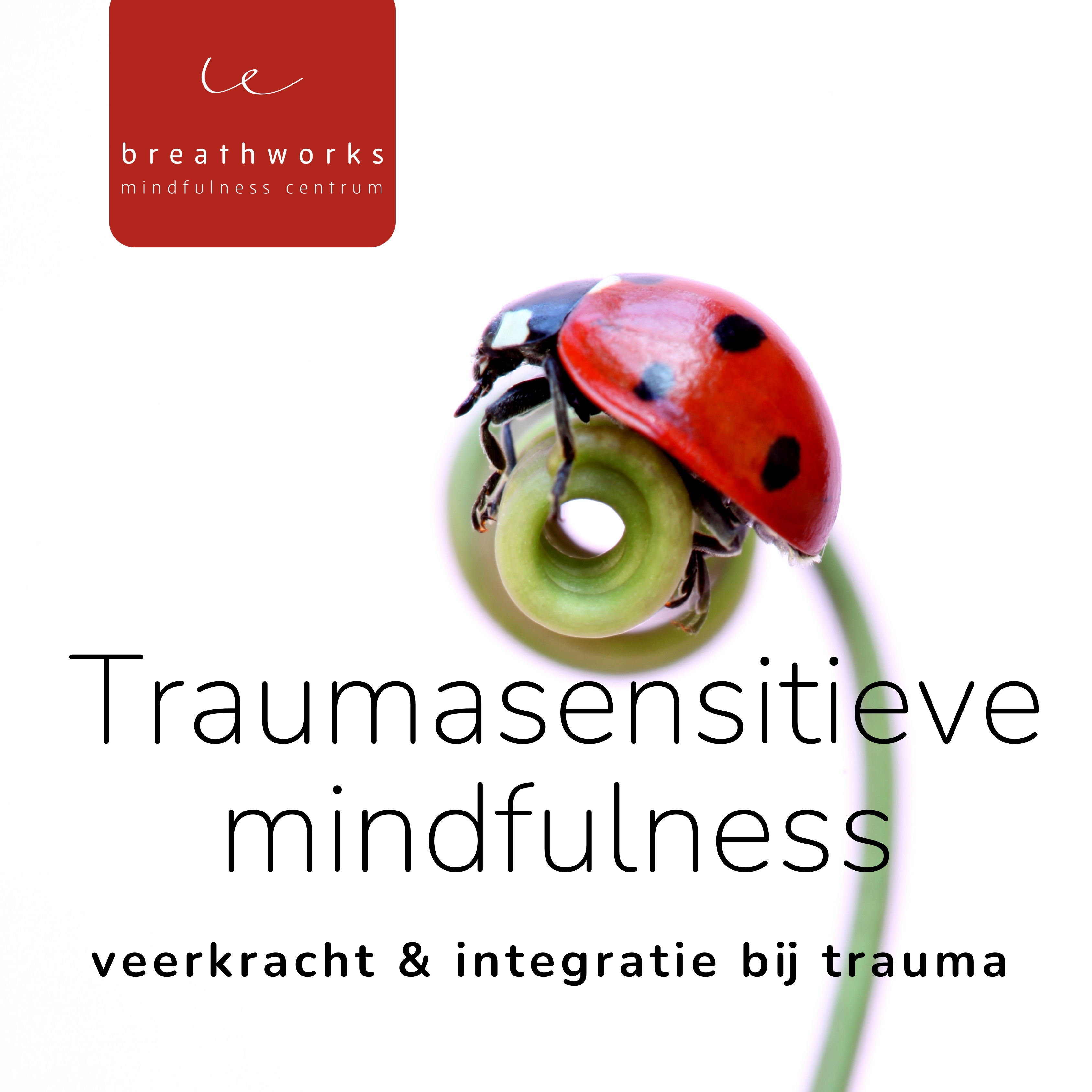 traumasensitieve mindfulness
