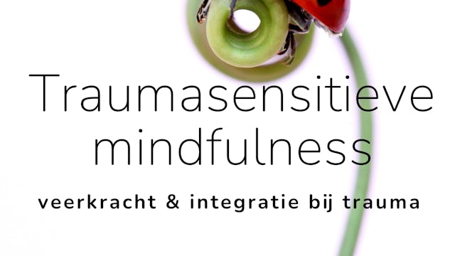 traumasensitieve mindfulness