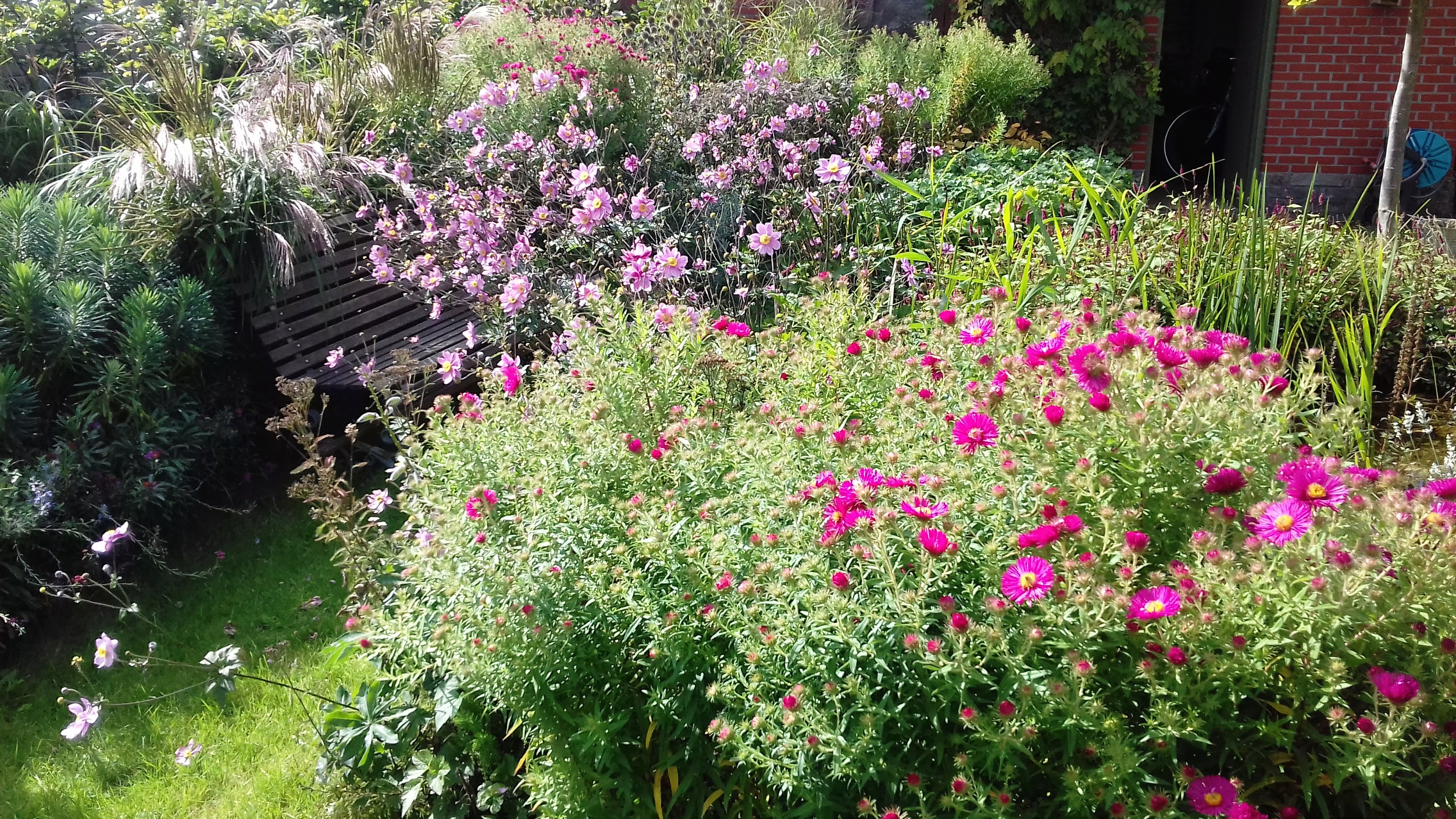 Zelf een beplantingsplan maken