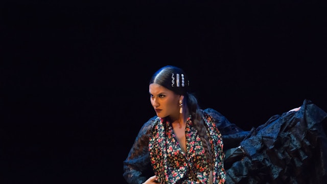 Almeraya Flamenca (ES)