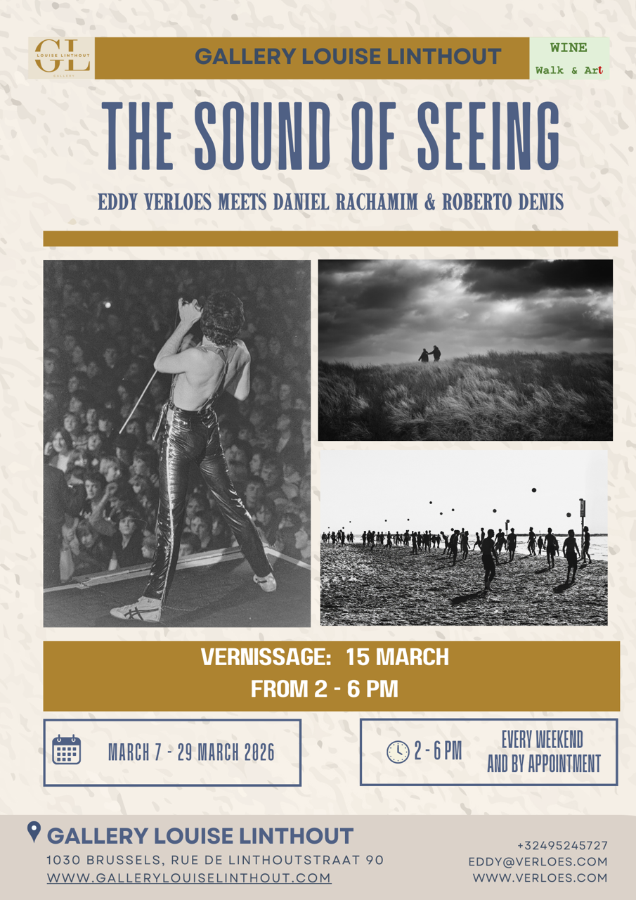 THE SOUND OF SEEING