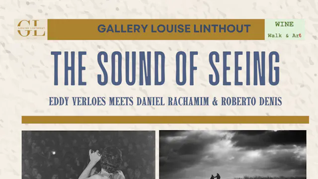THE SOUND OF SEEING