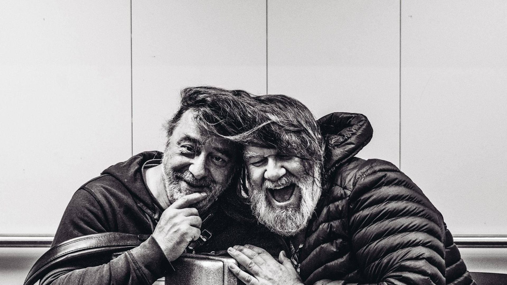 De Voorlaatste Afscheidstournee - De Dolfijntjes