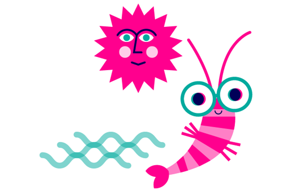 Zomervakantie 1: Strandplezier (mét overnachting)