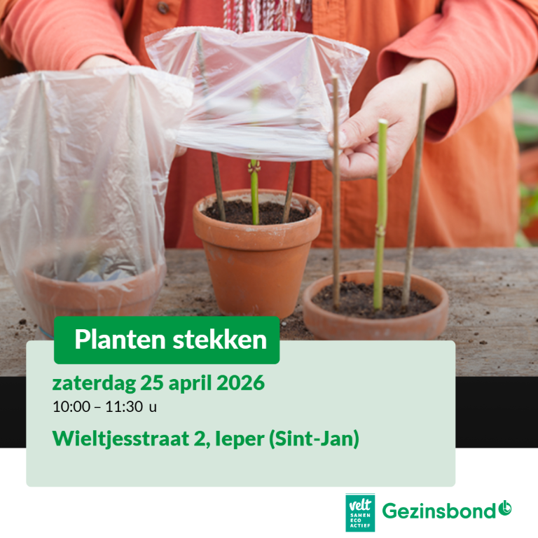 Image for gzbd activity