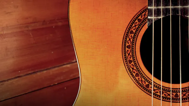Gitaar voor beginners