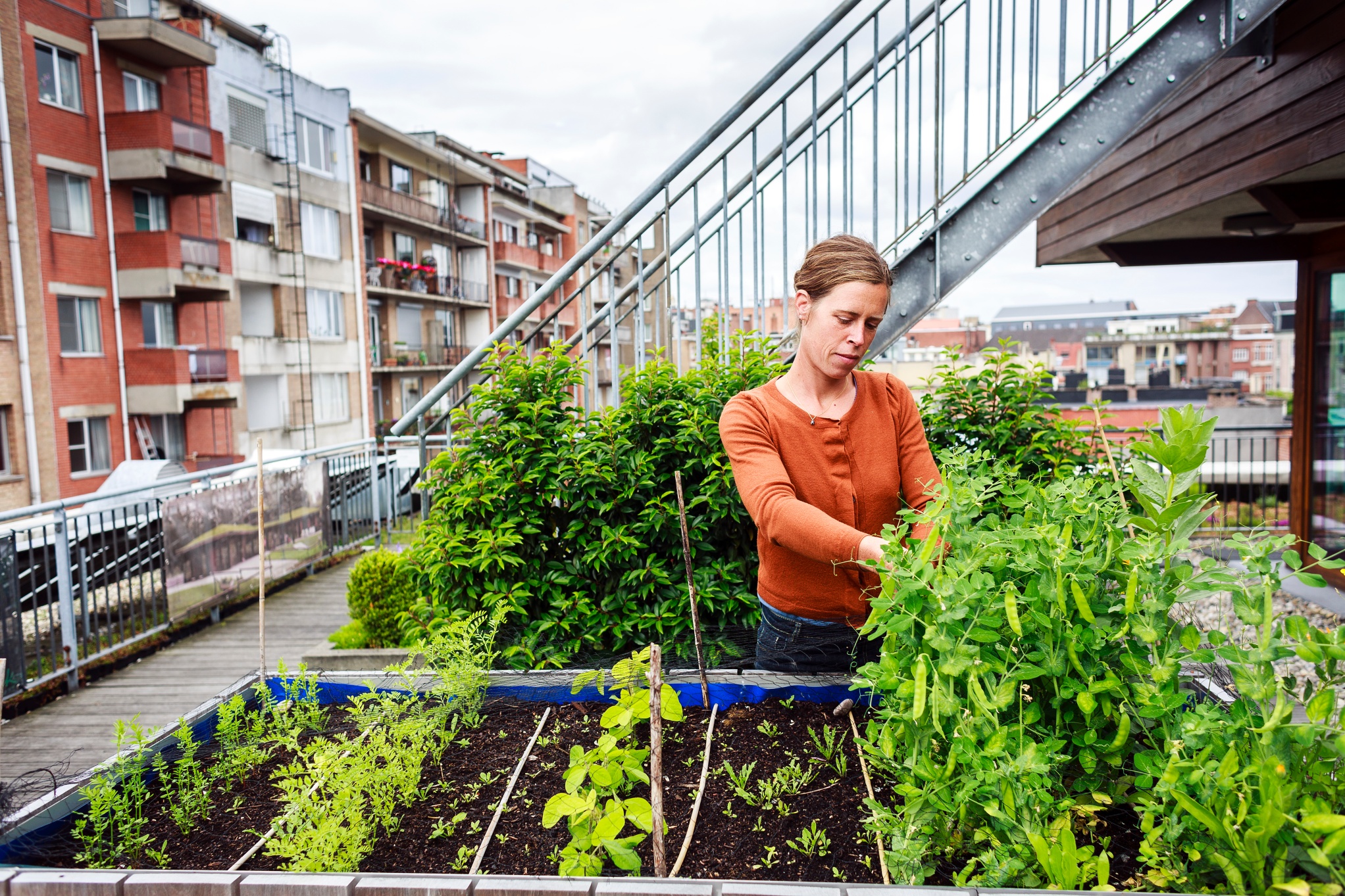 Vrouw werkt in een moestuinbak op een stedelijk dak.