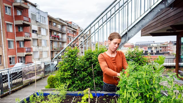 Vrouw werkt in een moestuinbak op een stedelijk dak.