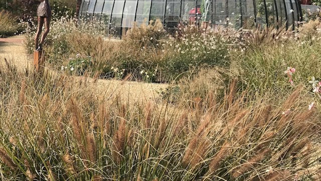 Mooie siergrassen tuin met daarin mooie Unieke bronzen beelden en een ronde serre, atelier is eveneens geopend voor het publiek.