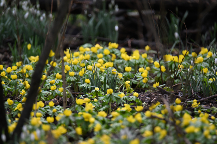 GEMEENTEBESTUUR KNOKKE-HEIST
