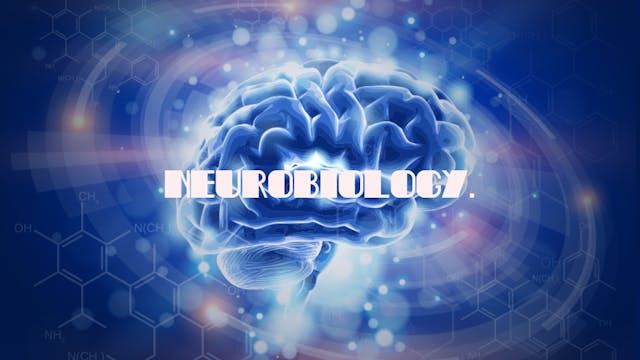 Neurobiology.jpg
