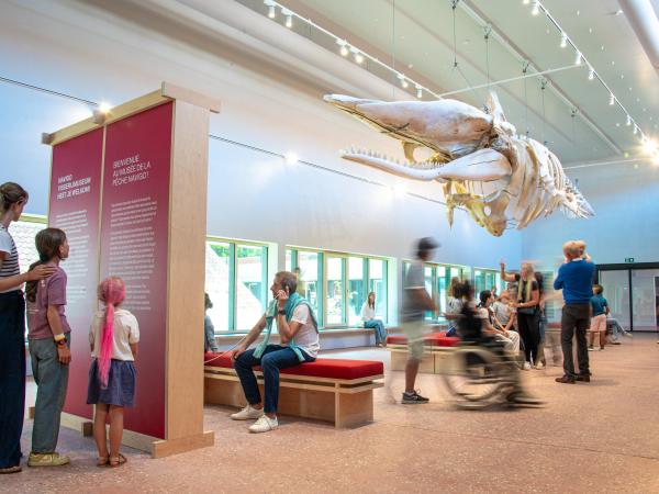 Welkom in NAVIGO Visserijmuseum!