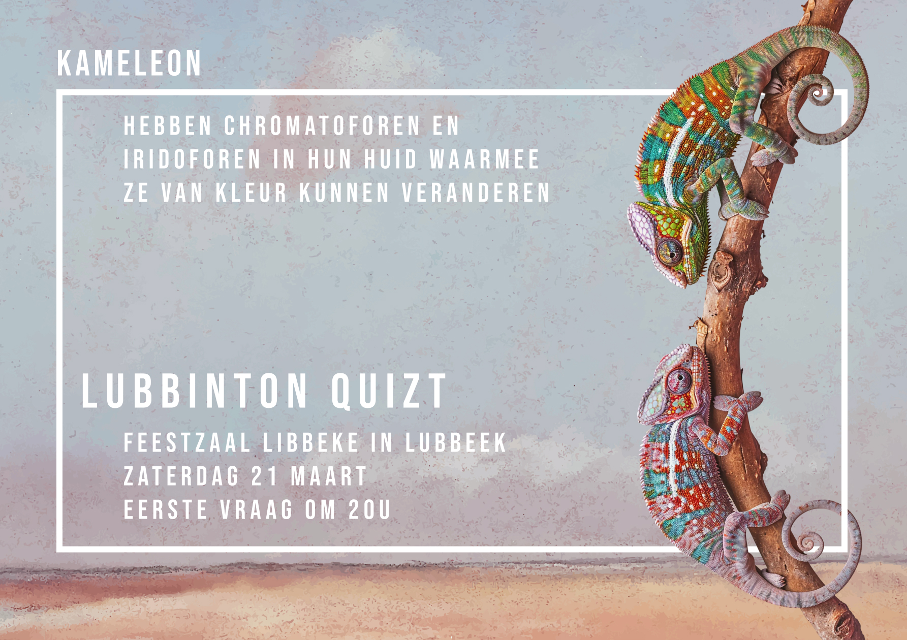 Lubbinton Quizt 2026