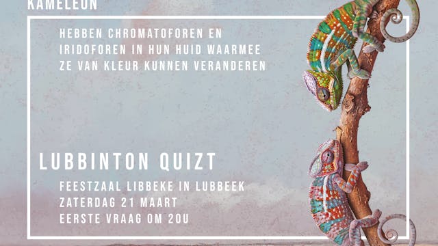 Lubbinton Quizt 2026