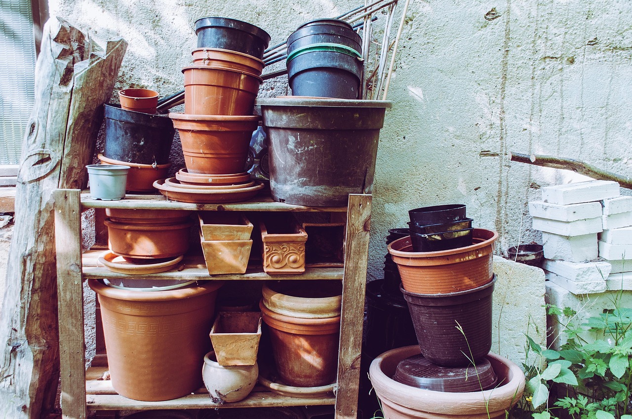 Image for gzbd activity