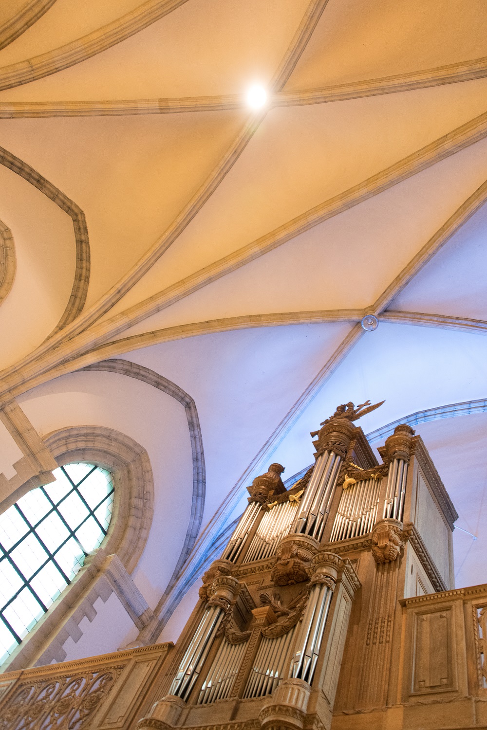 Organum Imperiale Plus