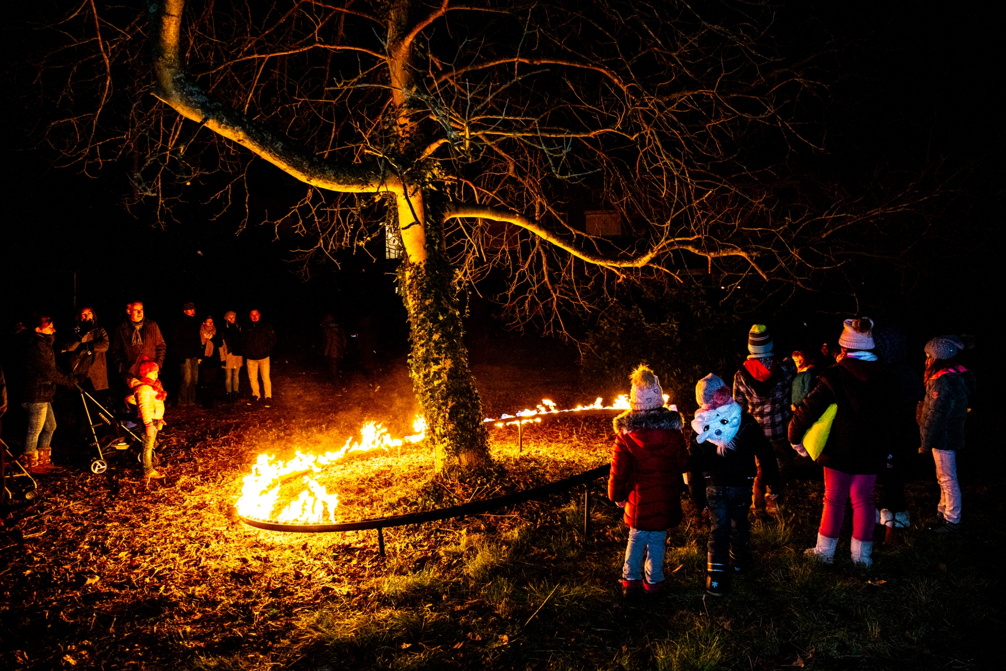 Steven Suttergrafics