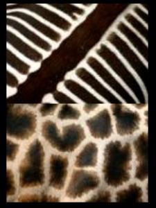 Kunst: puur natuur Zomer 2 - 2021