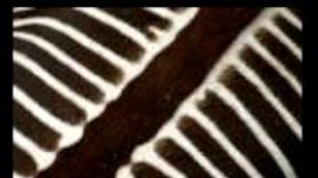 Kunst: puur natuur Zomer 2 - 2021