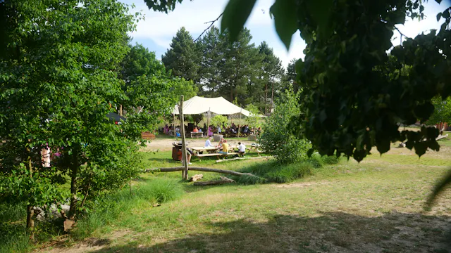 Workshop kleikunst met Tamboeri (in zomerbar JAKK)