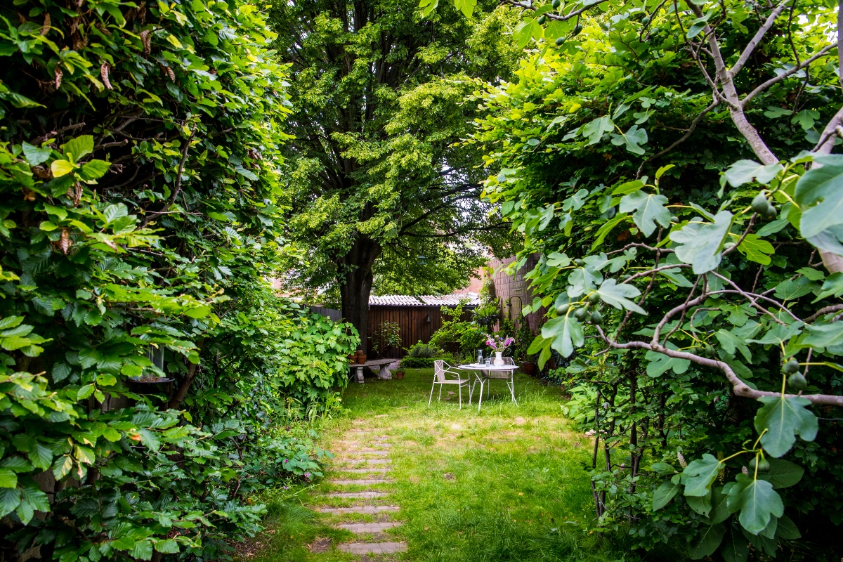 Zicht op een zomerse, groene tuin