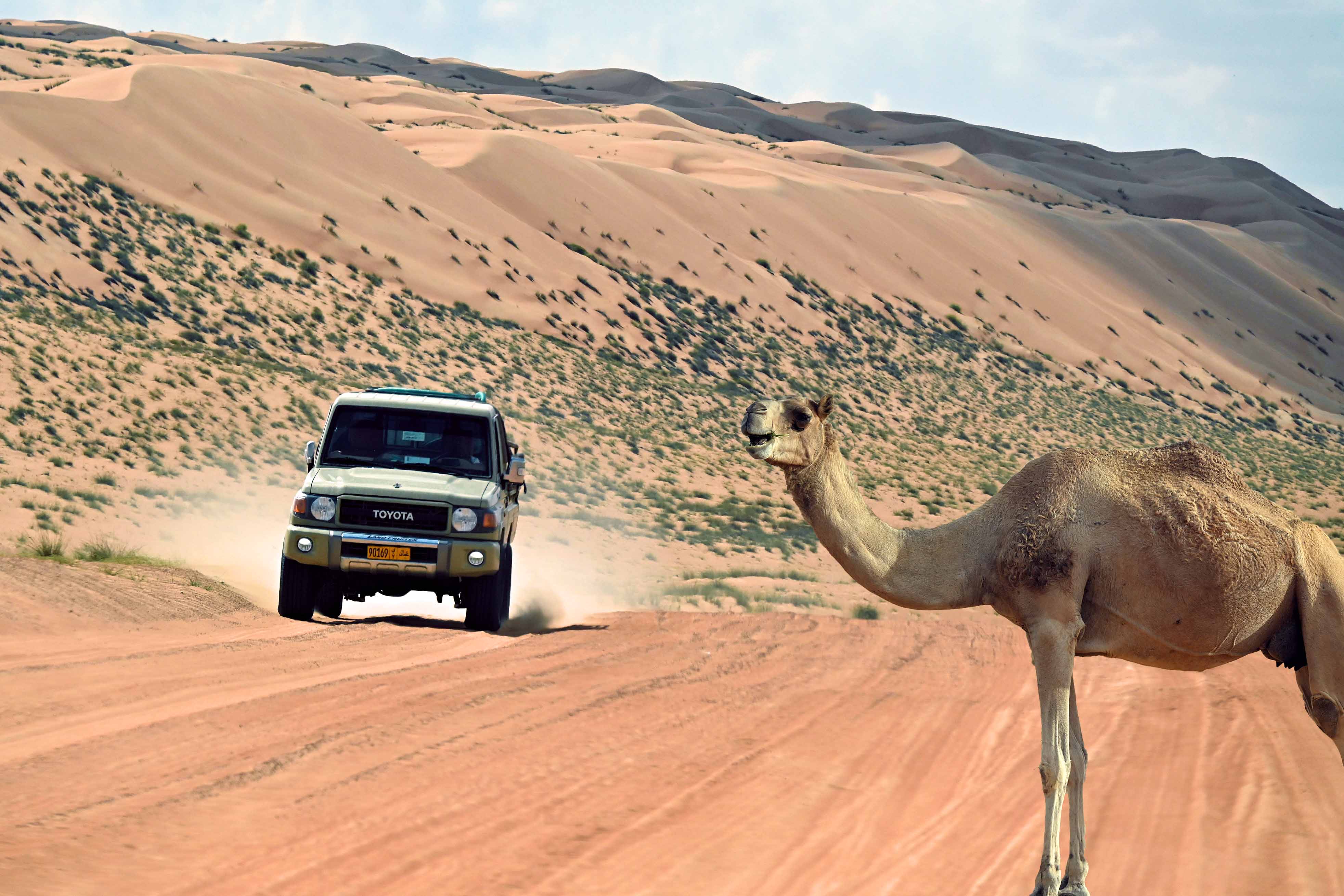 Reisreportage: Oman en Dubai