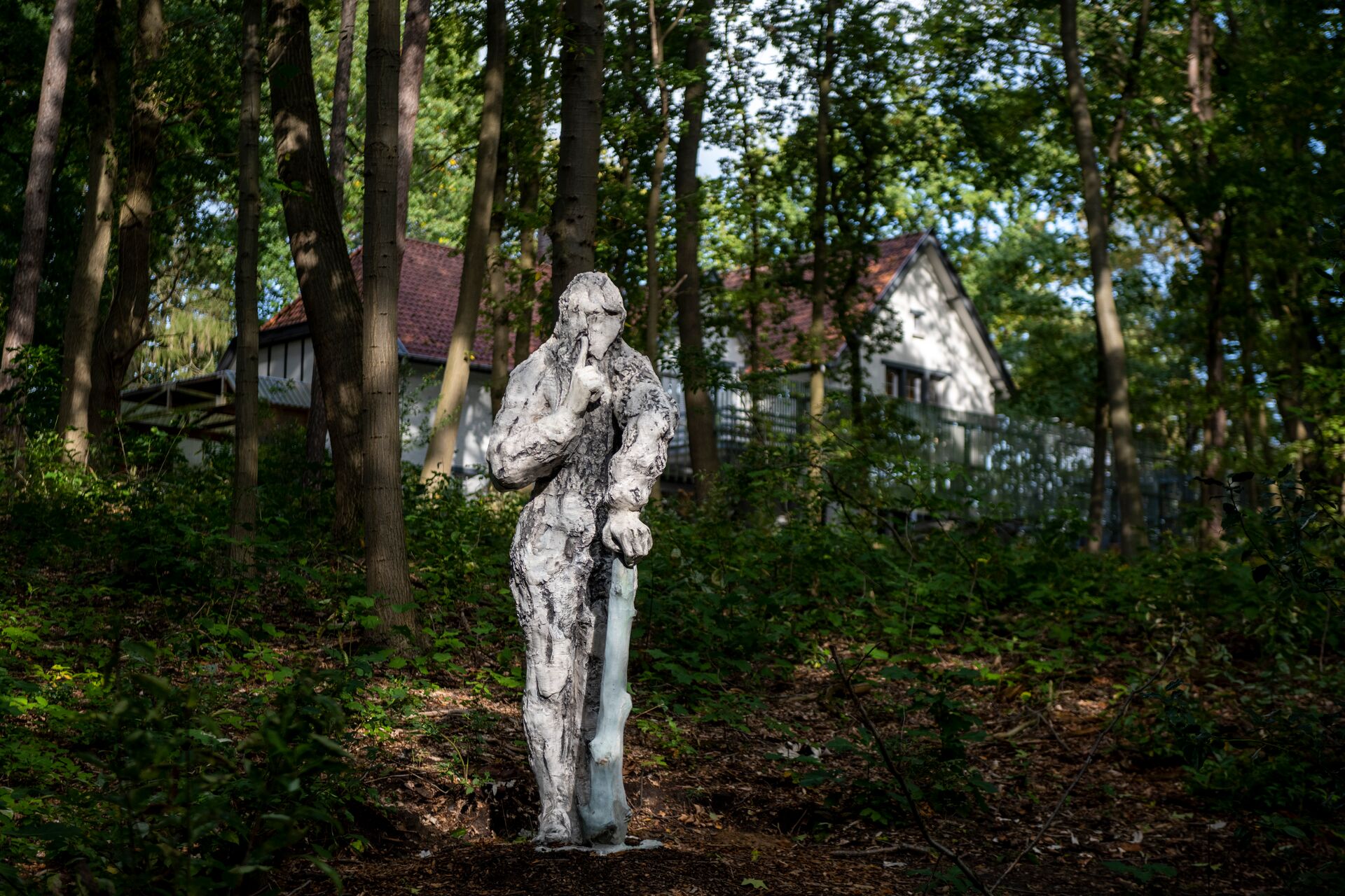 Uomu Selvatico - Caroline Coolen