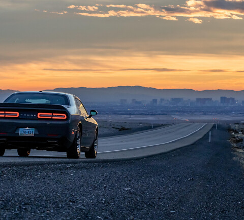 Pelgrimeren in films 22/4/2026