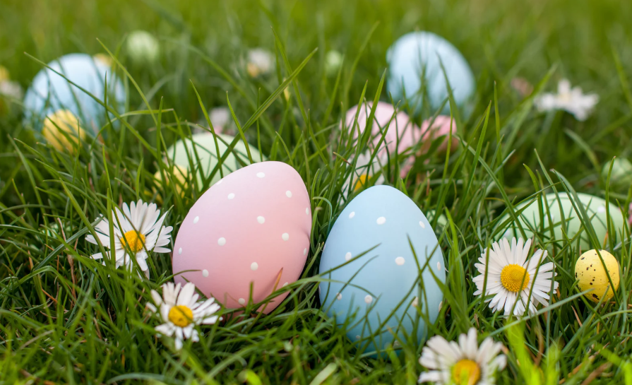 Image for gzbd activity