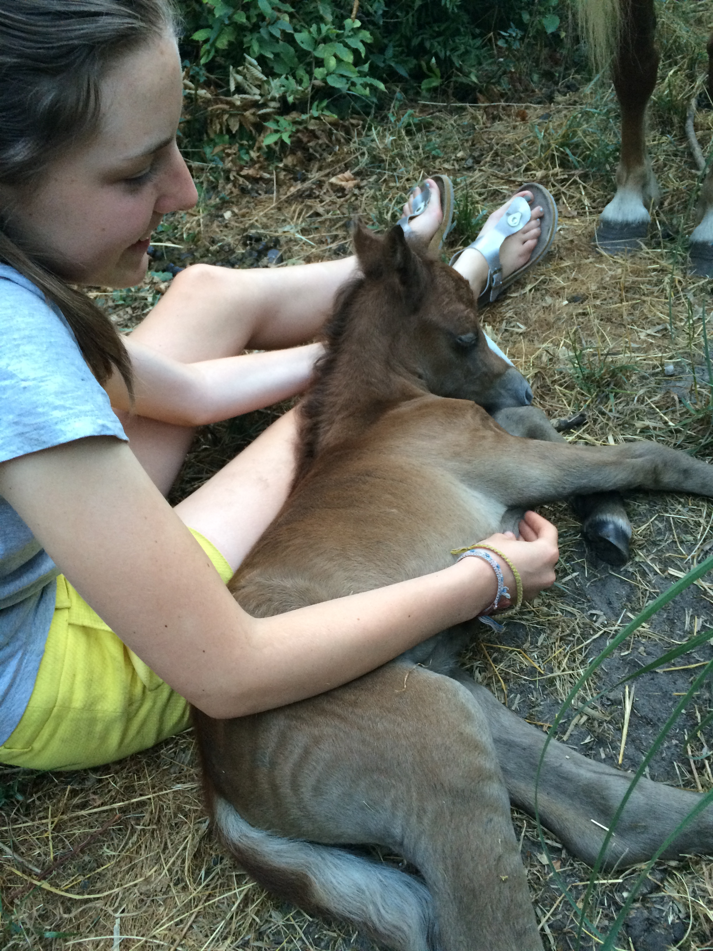 paard rijden voor kinderen