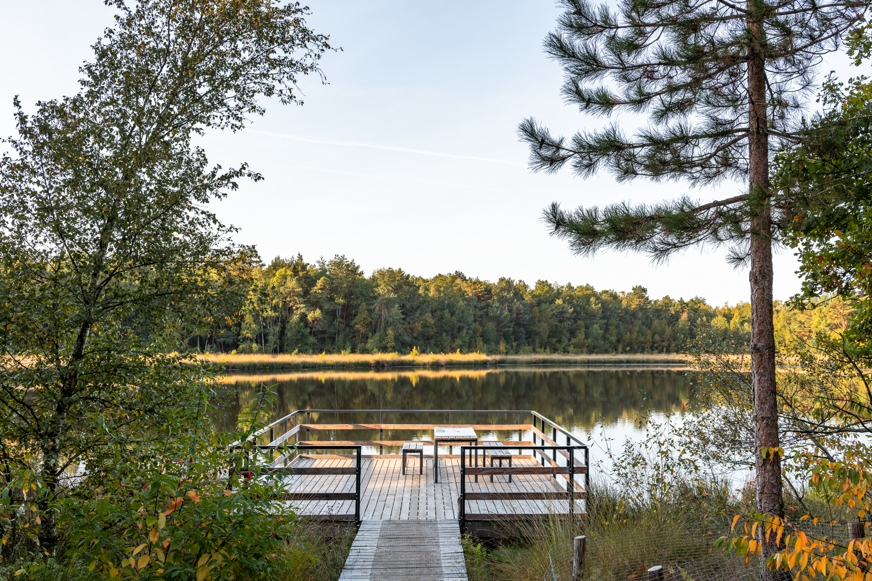 Vennenwandeling Duinengordel