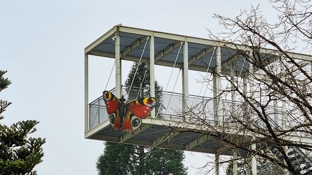 'Dagpauwoog' van Marijke Meersman op de uitkijktoren van Het Leen