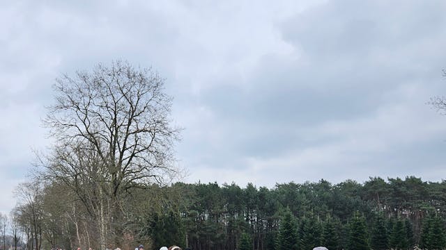 winterwandeling Herselt