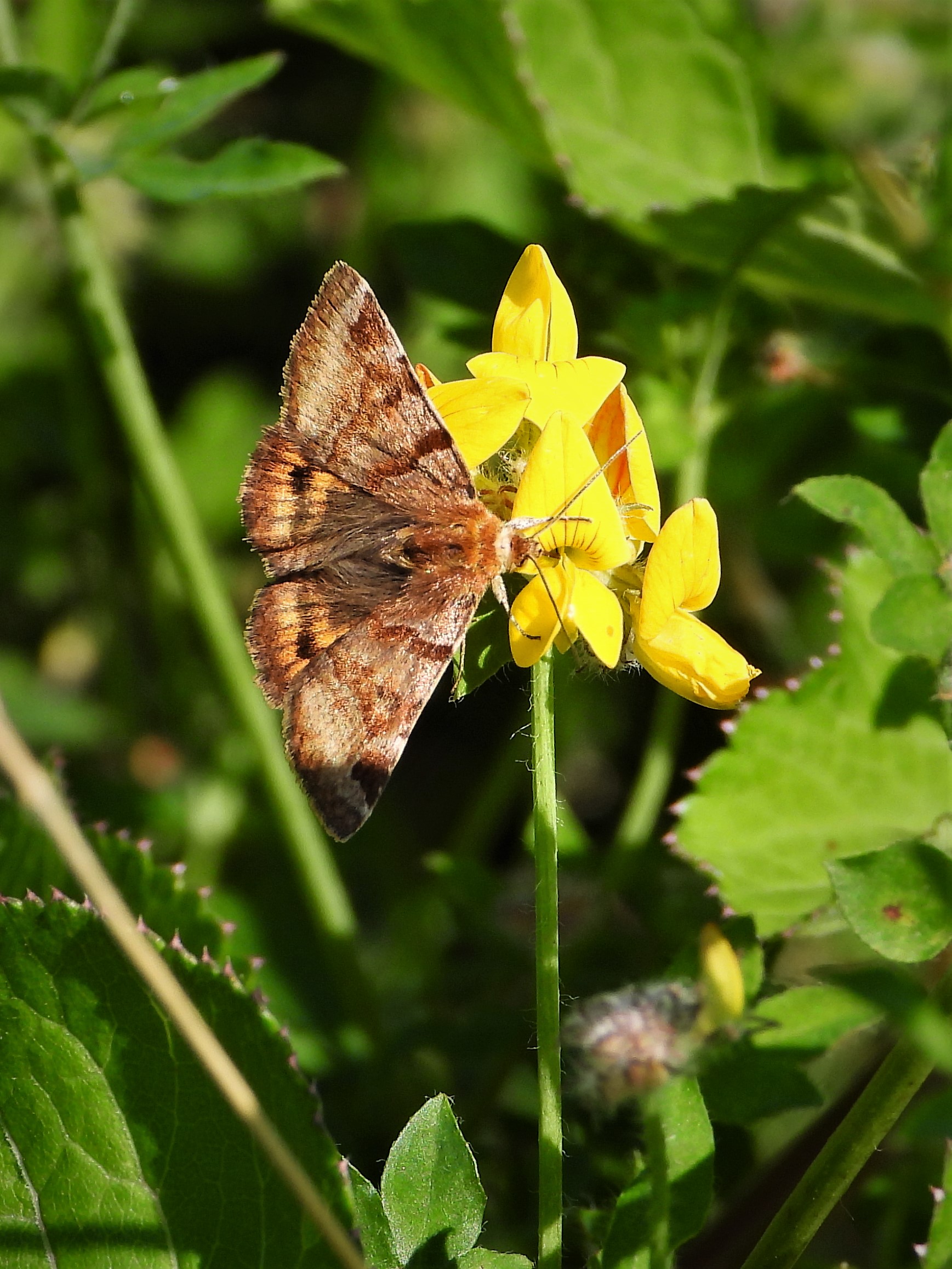 we zorgen voor uw natuur