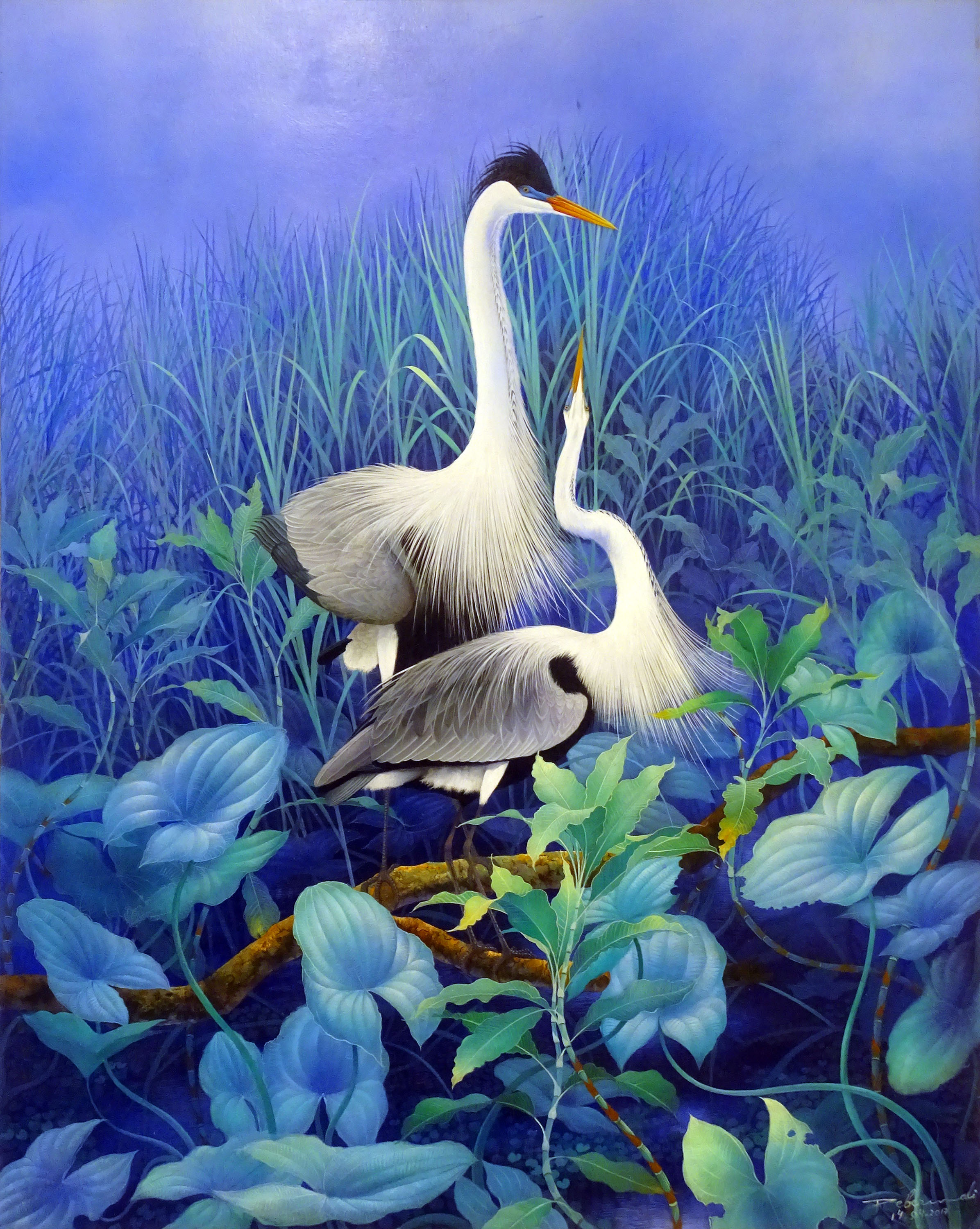 cuca garzas coquetando