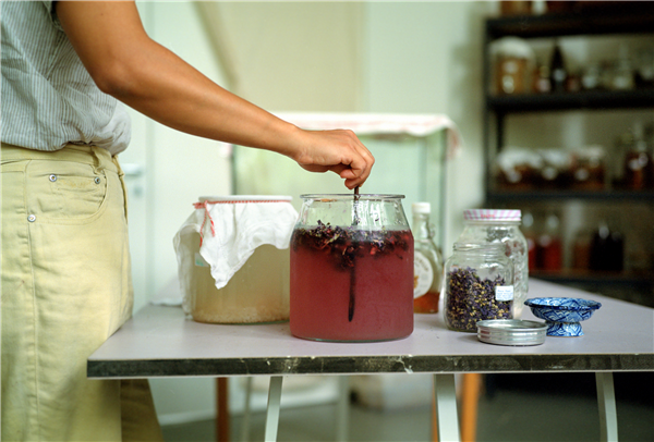 Fermenteren: Kimchi en lacto-gefermenteerde augurken