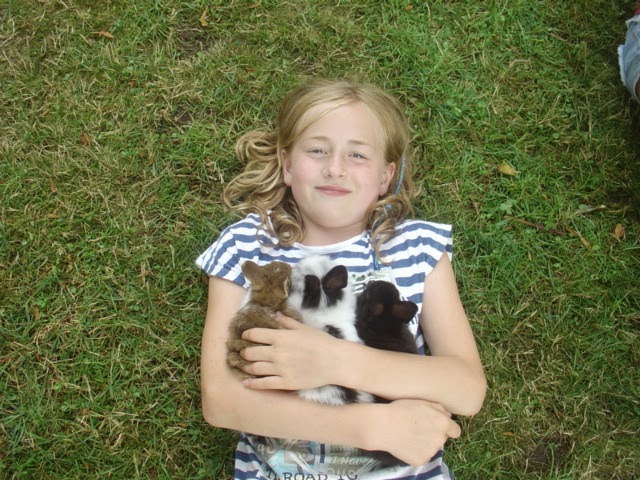 Image for gzbd activity