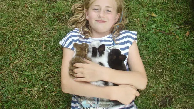 Image for gzbd activity